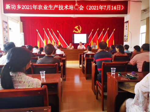 【我为群众办实事】新坊乡开展农业生产技术培训助力乡村振兴