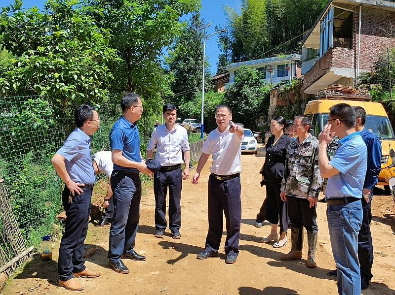伍志平深入沤江镇检查地质隐患排查工作