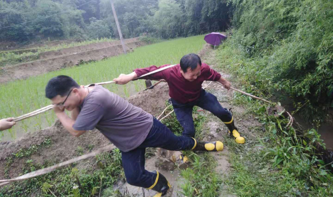 大塘镇：人民至上，灾后重建我先行