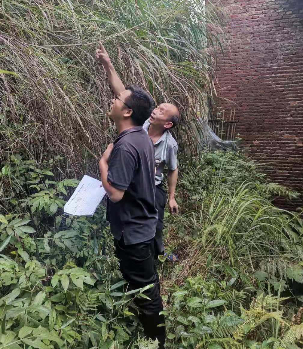 寨前镇：安全生产无小事 须臾片刻不可松