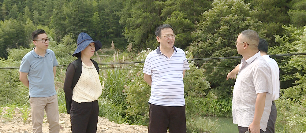 伍志平开展巡河并督导生态环境问题整改