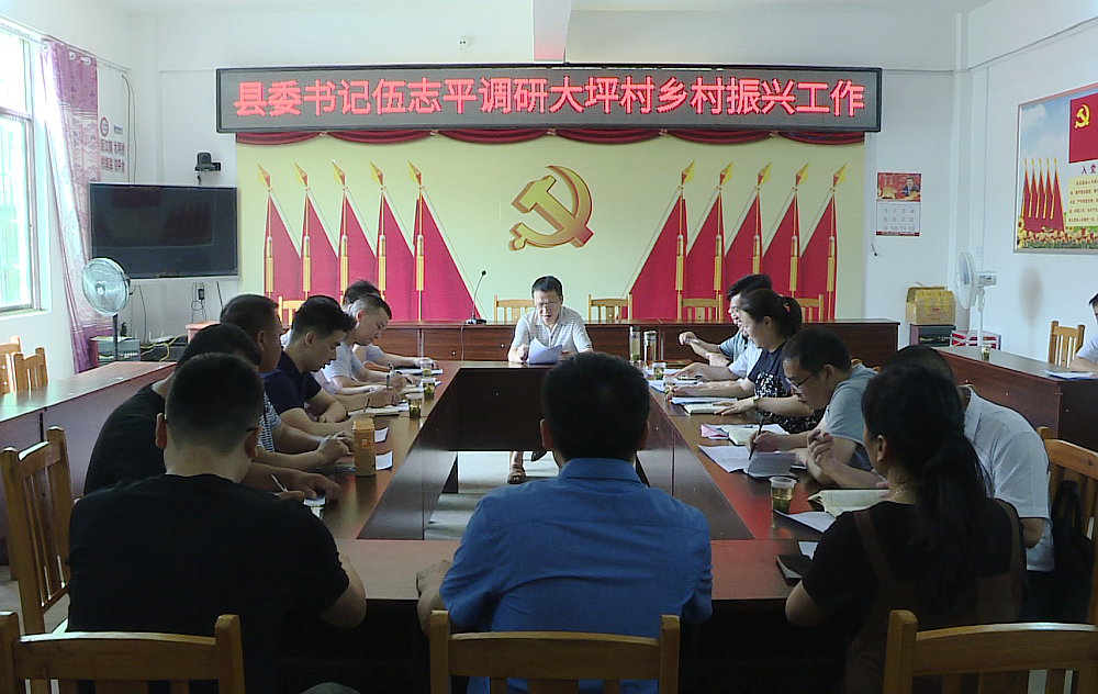 伍志平调研沤江镇大坪村乡村振兴工作