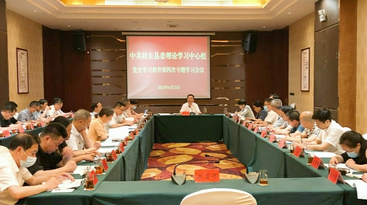 县委理论学习中心组举行党史学习教育第四次专题学习