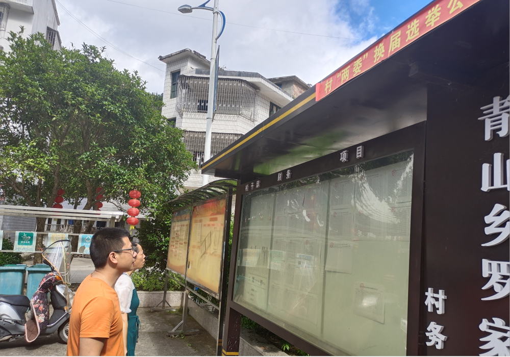 我为群众办实事——青山乡在行动
