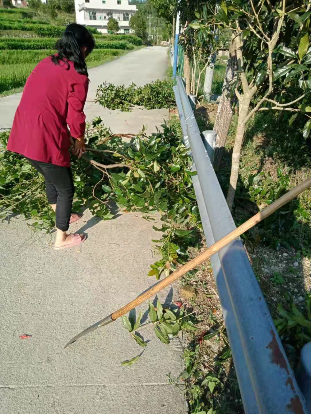 【我为群众办实事】新坊乡:清理路边树枝杂草  助力环境卫生整治