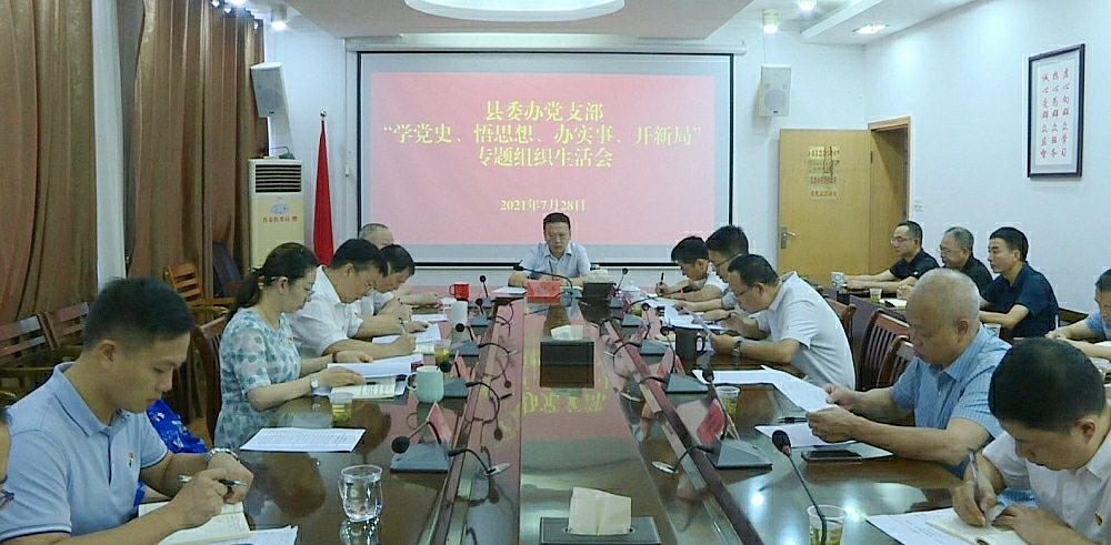 伍志平参加县委办党支部“学党史、悟思想、办实事、开新局”专题组织生活会