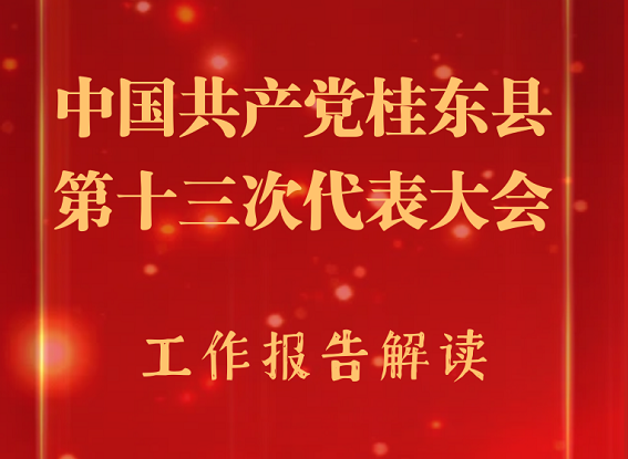 图解 | 划重点！一图读懂桂东县第十三次党代会报告，干货满满！