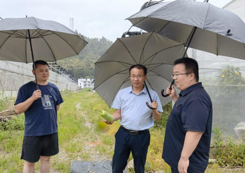 桥头乡：参观学习拓思路 凝心聚力促振兴