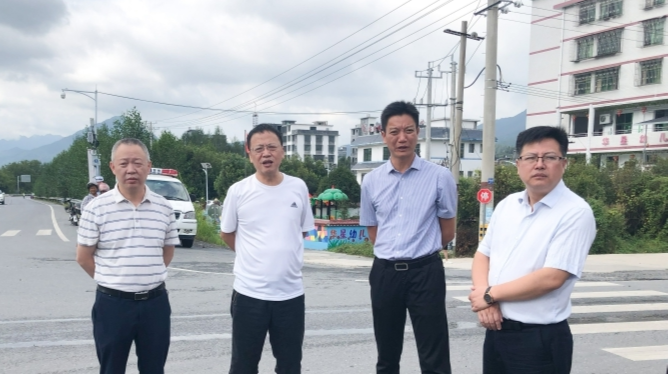 伍志平深入沙田检查调研安全生产和农业项目工作