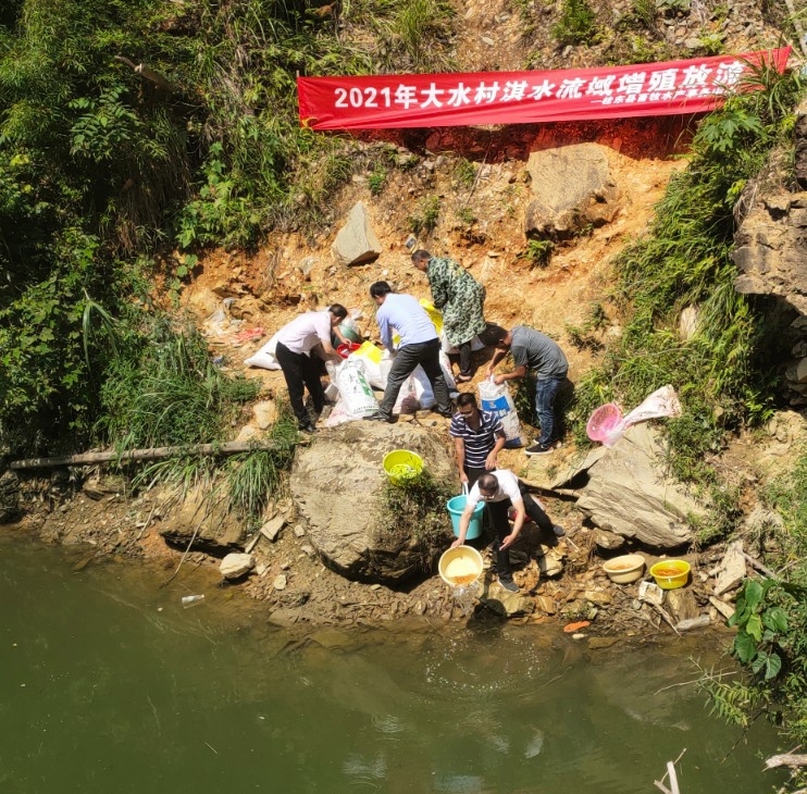 县畜牧水产事务中心增殖放流约2万尾鱼苗