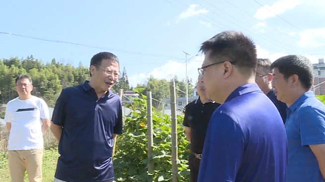 伍志平深入东洛乡调研产业发展和安全生产工作