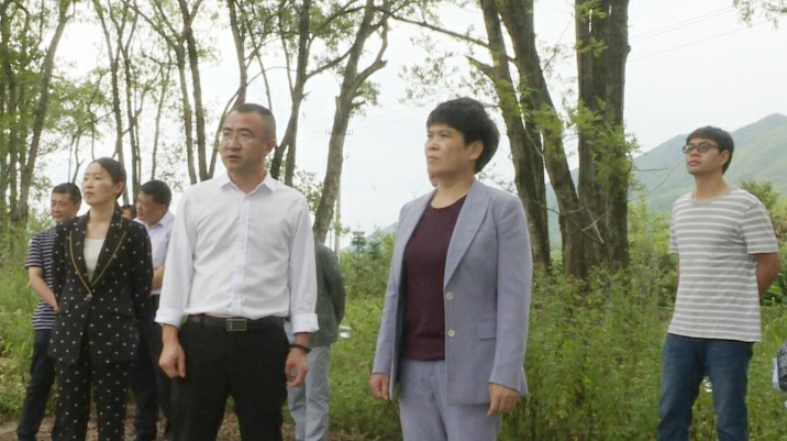 刘真深入沙田调度农旅观光园项目工作