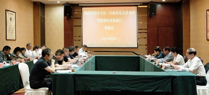 湖南农大、省茶业集团专家为清泉镇产业创新发展把脉献策