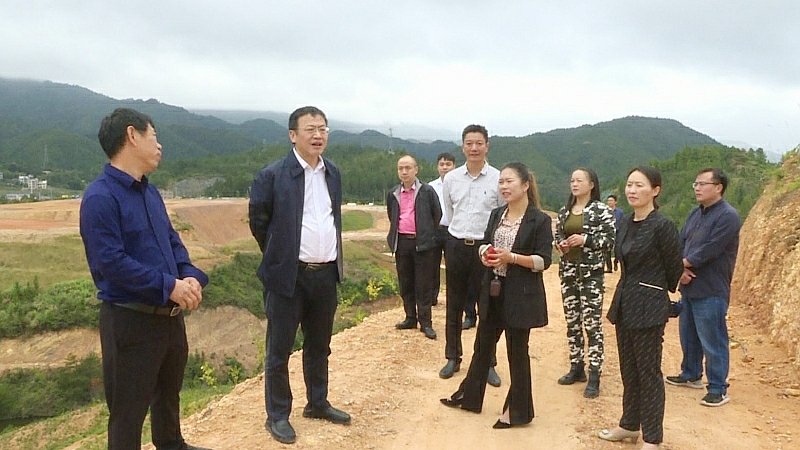 伍志平调度党史学习教育工作和产业发展