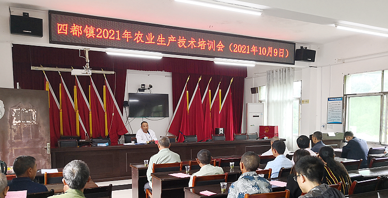 四都镇：技术培训助推冬种工作