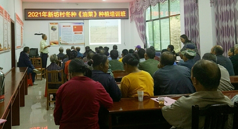 新坊乡：开展油菜种植培训 提高农民种植水平