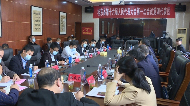 【聚焦两会】伍志平参加第四代表团分组讨论