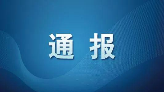中共桂东县中医医院委员会关于巡察整改进展情况的通报