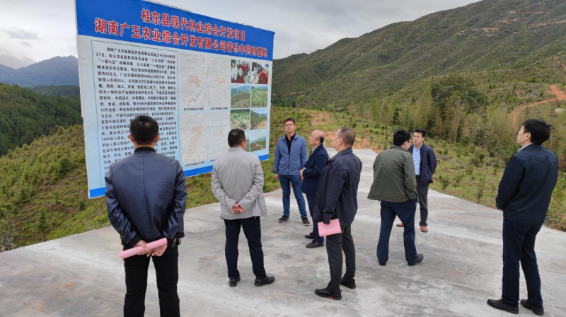 普乐镇：壮大林下药材产业 奋力谱写发展新格局