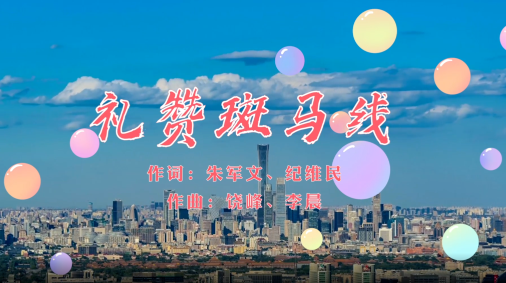 礼赞斑马线
