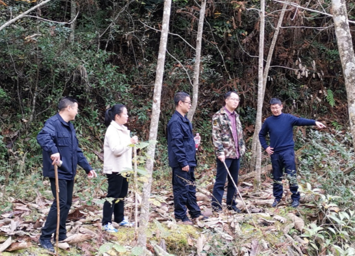 八面山管理局：安全生产无小事，防治并举保平安
