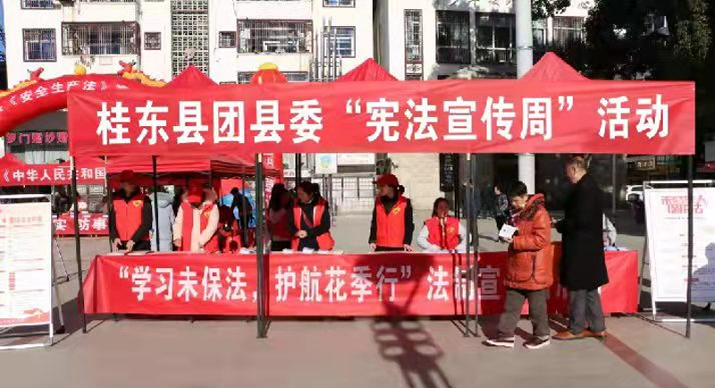 县团代表联络站助力法治宣传
