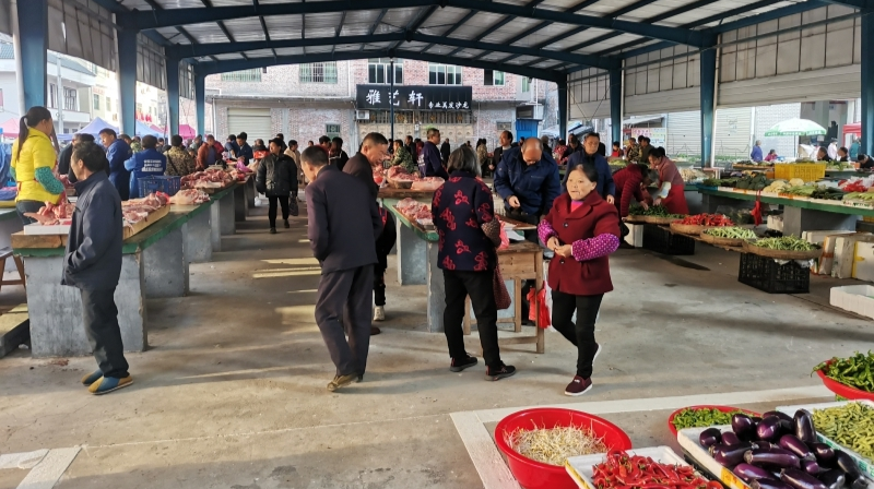 清泉镇：开展街道市场专项整治行动