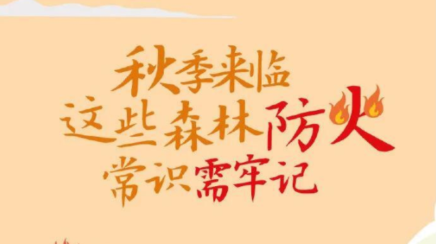 @桂东人 秋冬防火不能忽视！ 请收好这份森林防火指南