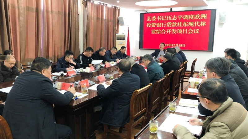 伍志平主持召开欧洲投资银行贷款桂东县现代林业综合开发项目调度会
