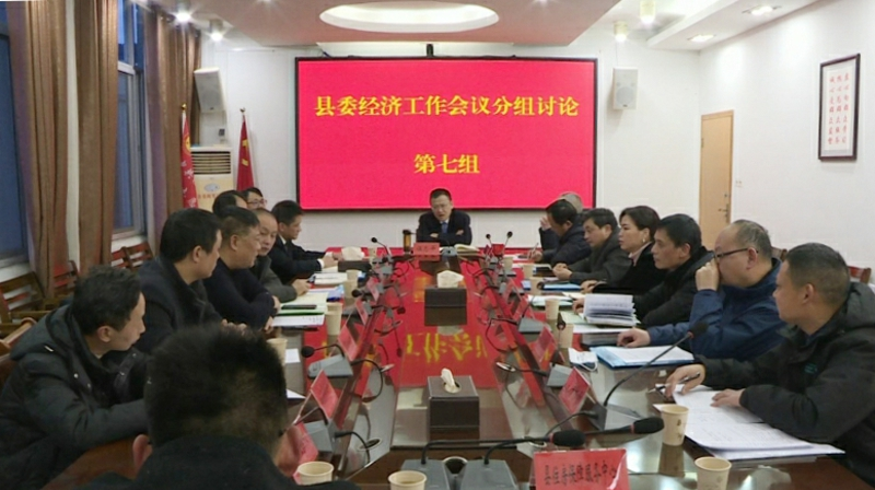 县委经济工作会议开展分组讨论
