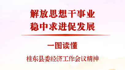 干货满满 ！一图读懂桂东县委经济工作会议精神