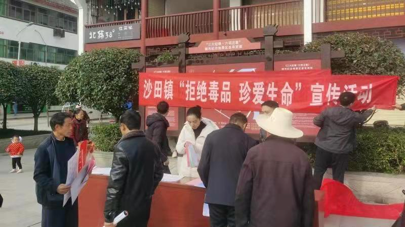沙田镇：走访宣传，排查化解促稳定