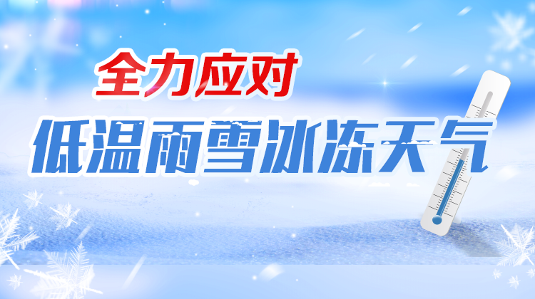 全力应对低温雨雪冰冻天气