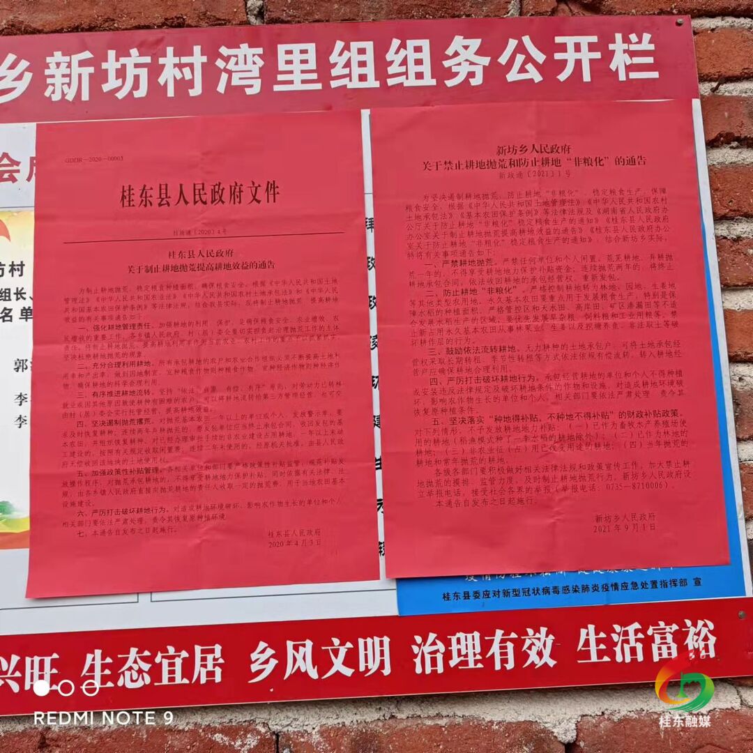 新坊乡-扎实开展耕地保护政策宣传