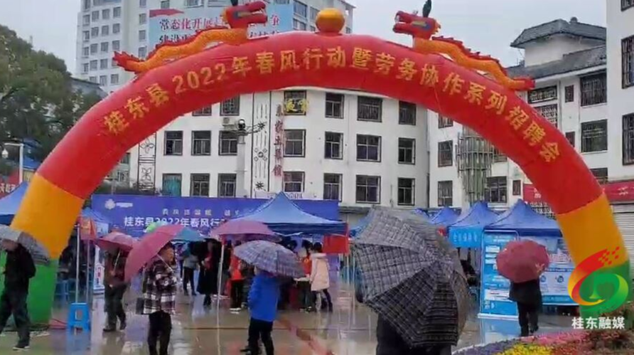 【真抓实干】我县开展2022年“春风行动”暨就业援助月活动
