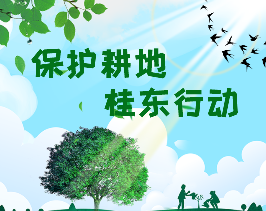 保护耕地 桂东行动