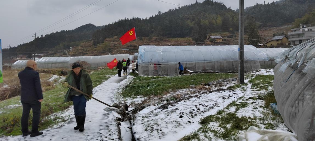 寨前镇：雪映党旗分外红