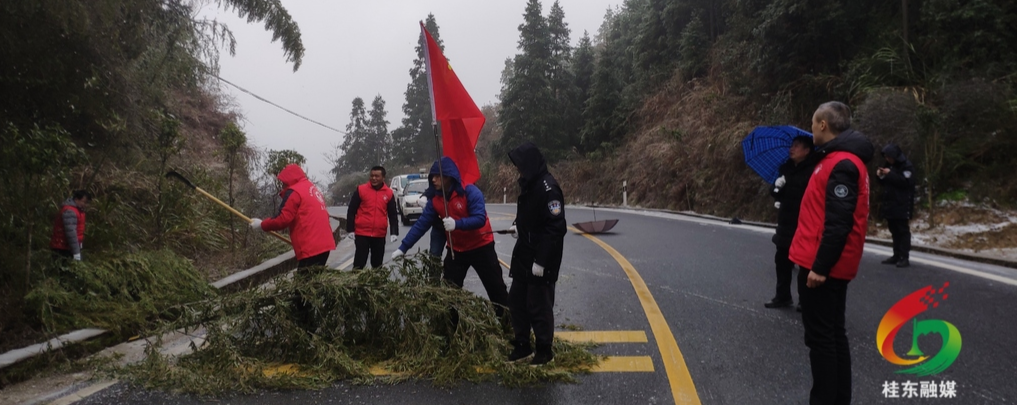 清泉镇：同心共济抗冰雪，党旗飘扬护平安