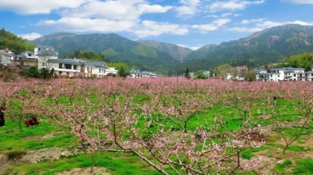 我县3个村入选省级美丽乡村示范村和特色精品乡村