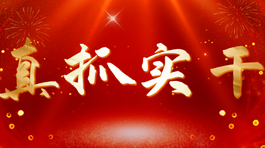 真抓实干