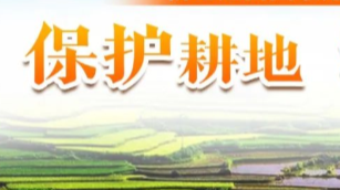 保护耕地 桂东行动