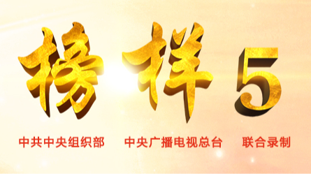 榜样5