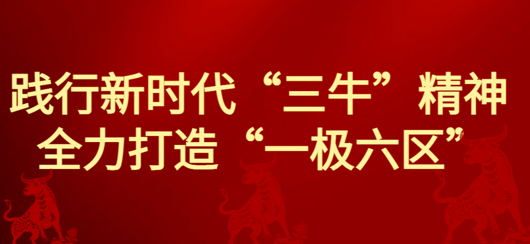践行新时代“三牛”精神 全力打造“一极六区”