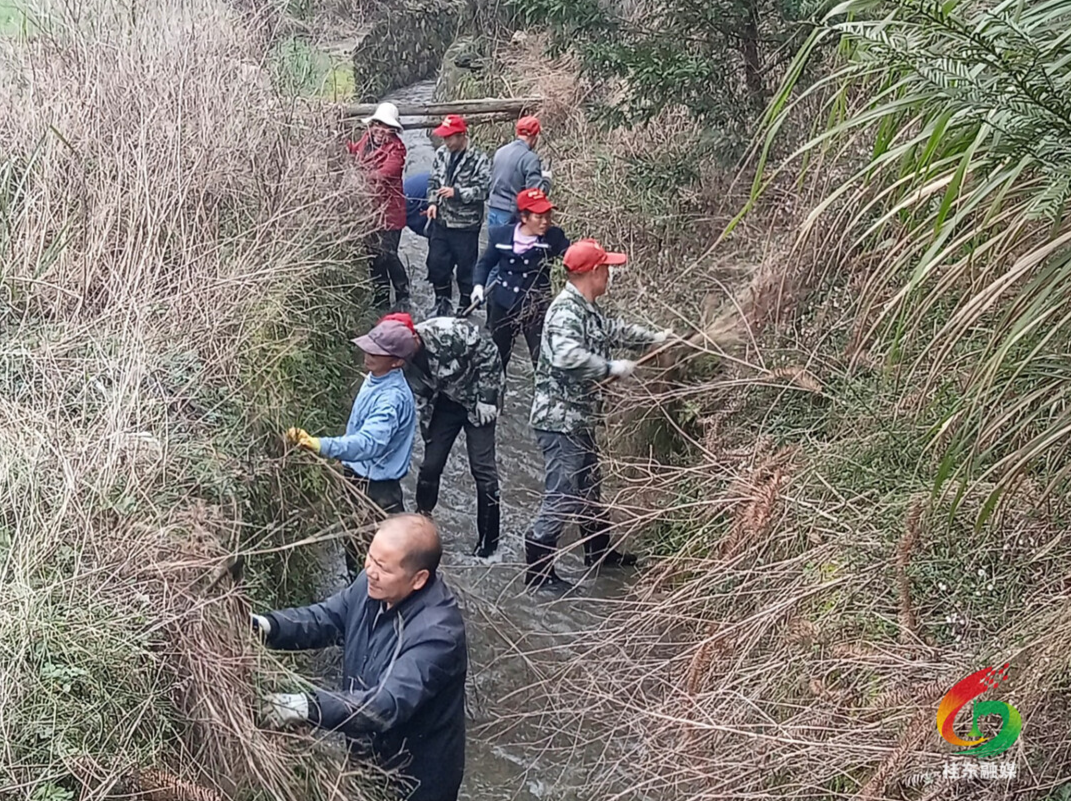 农村人居环境整治助力乡村振兴