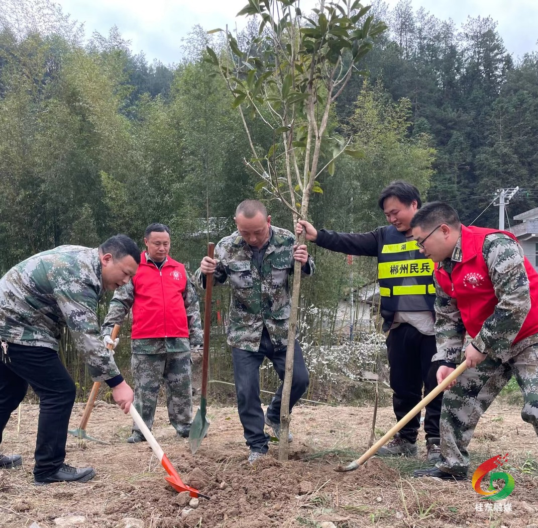 新坊乡:开展“3.12”义务植树活动