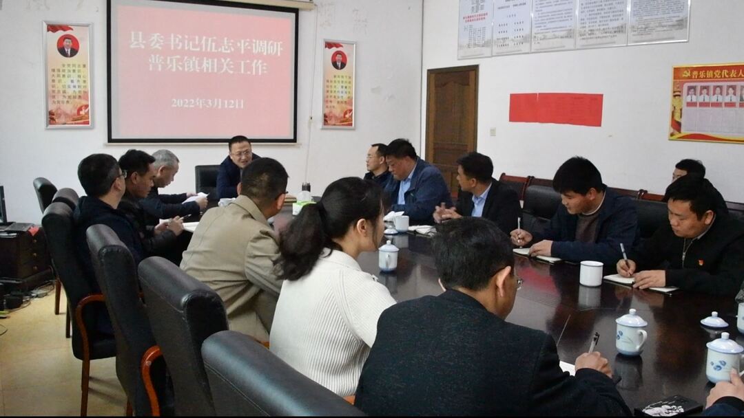伍志平深入普乐镇调研