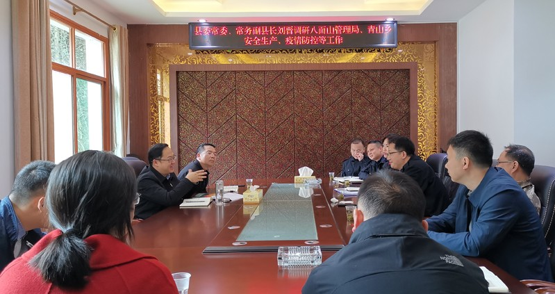 县领导调研八面山管理局安全生产、疫情防控等工作