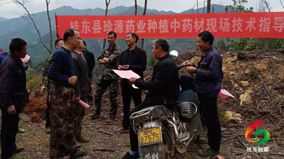 青山乡：乡村振兴促发展 产业培训促增收