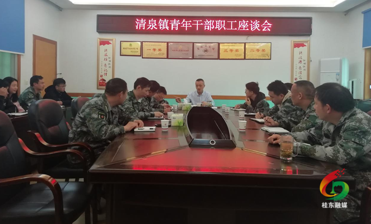 清泉镇：召开青年干部座谈会