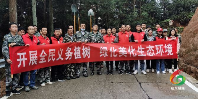 清泉镇：开展义务植树，给春天“增彩”